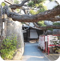 写真:神社。おみくじと大きな岩と木が写っています